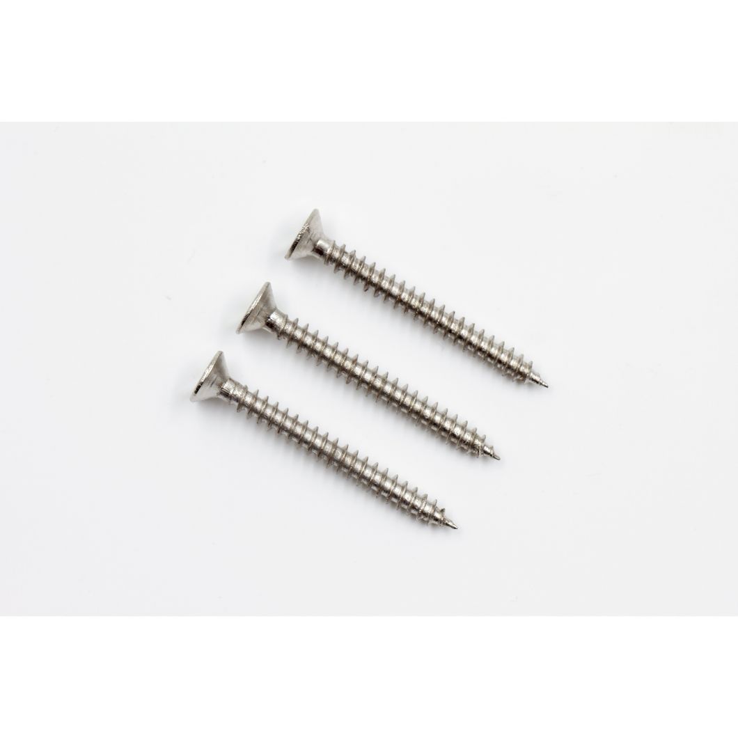 Self Tapping Screws